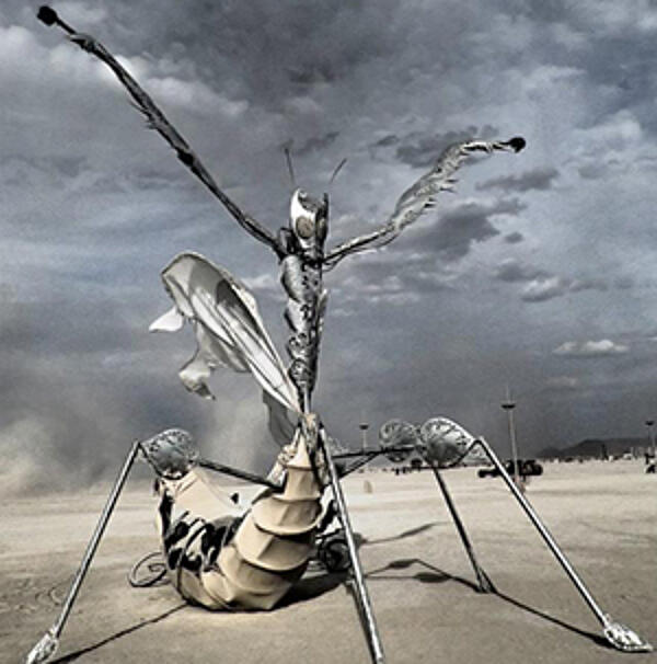 Praying Mantis Sculpturweb