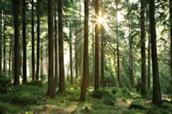Zinc is natural and 100% recyclable with no loss of properties