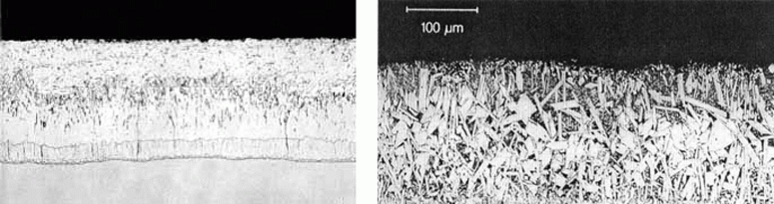 Sandy Micrograph