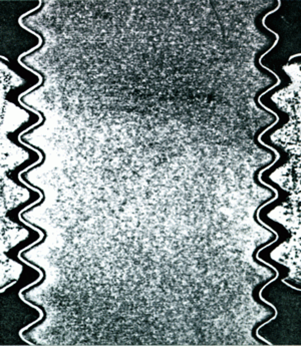 Bolt Micrograph
