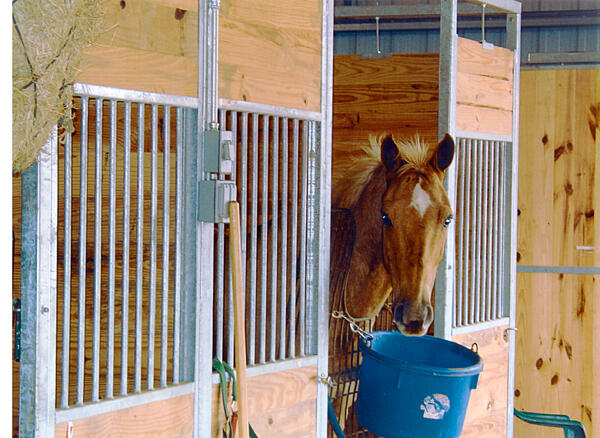 Evangeline Downs Horse Barns