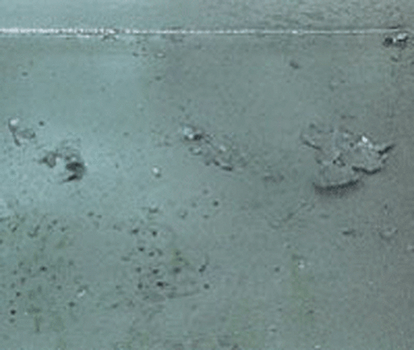 Zinc Splatter(acceptable) galvanized steel