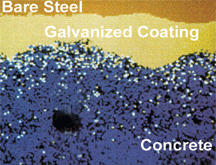 white zinc particles migrating away from the bar (galvanized coating) and into the pores of the concrete matrix.