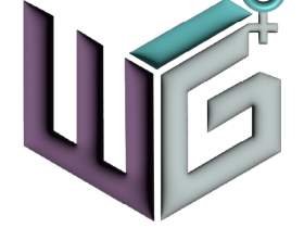 Wi G Sticker 2x2 01